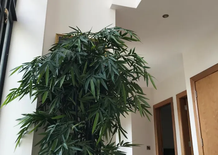 Ferienhaus Serene Luxurious Retreat With Sea Views, Entire *